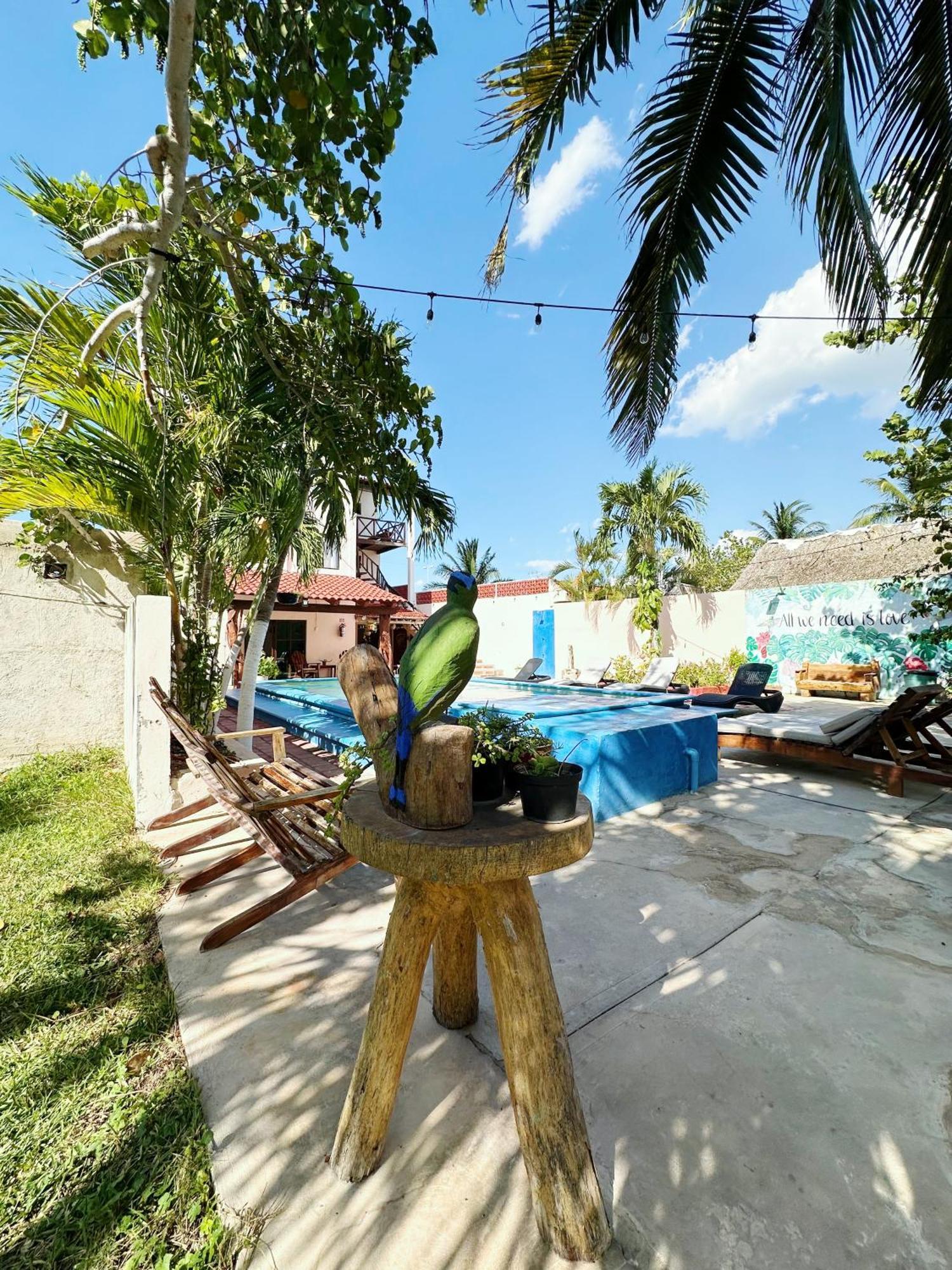 Posada El Perico Marinero Río Lagartos Екстериор снимка